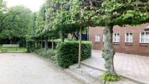 Je comfortabel voelen tijdens de TRE opleiding is belangrijk. Daarom hebben we een rustige omgeving uitgekozen. Een ruime zaal met een houten vloer een barretje en lekkere versnaperingen tijdens de pauzes.