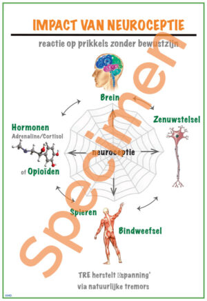 Impact van neuroceptie A1